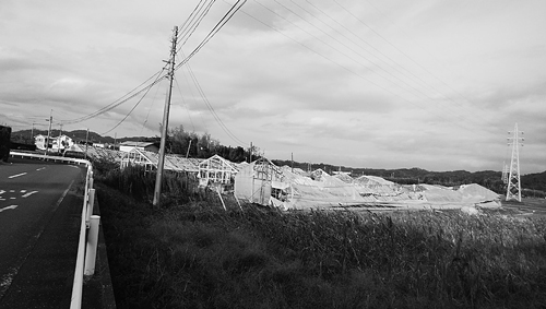 強風でつぶれた農業用ハウス。