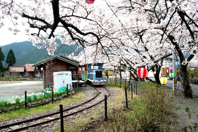 第21回全国小さくても輝く自治体フォーラムin馬路村
